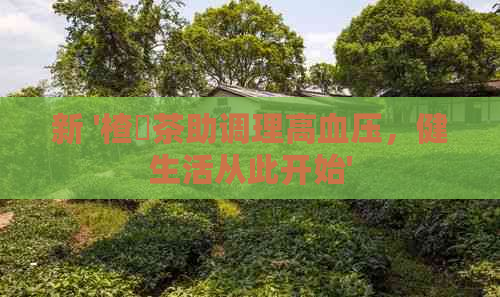 新 '楂樿茶助调理高血压,健生活从此开始' 新 '楂樿茶助调理高血压,健生活从此开始'