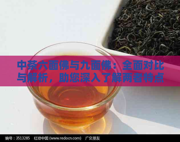 中茶六面佛与九面佛：全面对比与解析，助您深入了解两者特点与用途