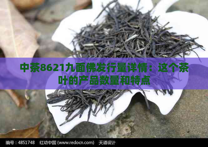中茶8621九面佛发行量详情：这个茶叶的产品数量和特点