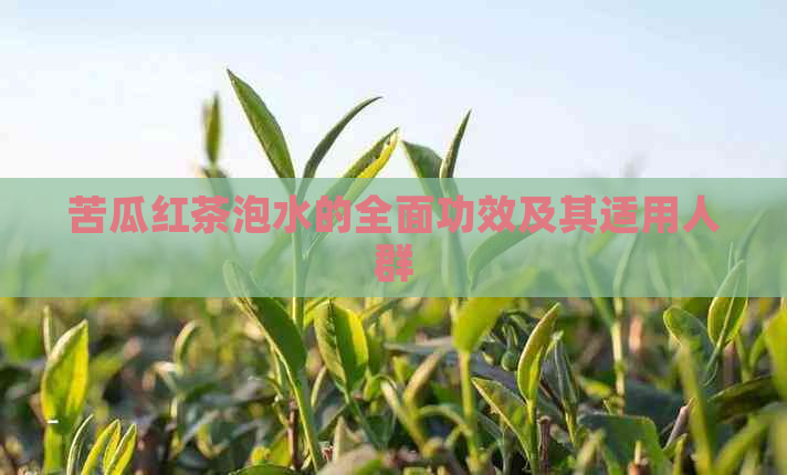 苦瓜红茶泡水的全面功效及其适用人群