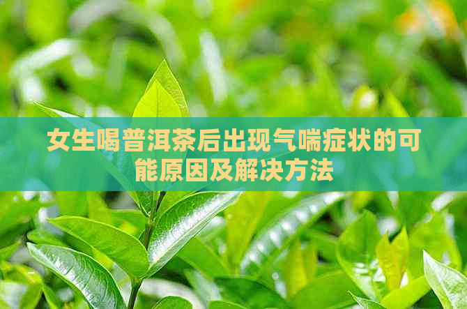 女生喝普洱茶后出现气喘症状的可能原因及解决方法