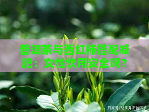 普洱茶与西红柿搭配减肥：女性饮用安全吗？