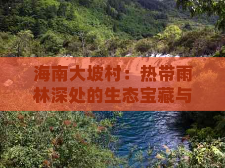 海南大坡村：热带雨林深处的生态宝藏与乡村振兴探秘