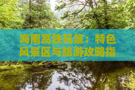 海南高铁风景：特色风景区与旅游攻略指南