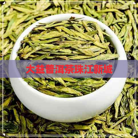 大益普洱茶珠江新城