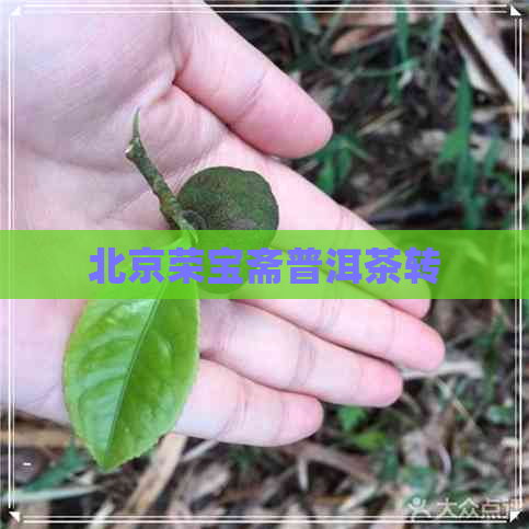 北京荣宝斋普洱茶转