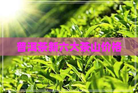 普洱茶新六大茶山价格
