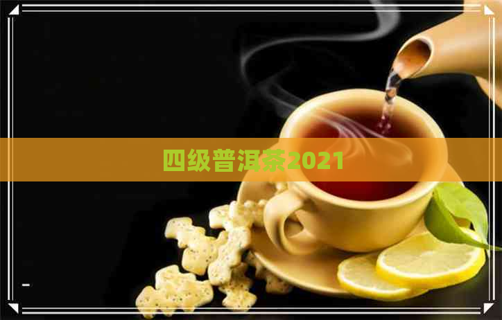 四级普洱茶2021