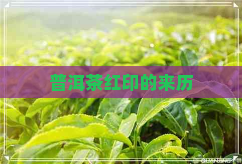 普洱茶红印的来历