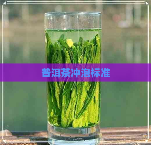 普洱茶冲泡标准