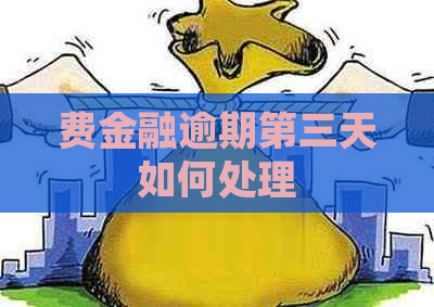 费金融逾期第三天如何处理
