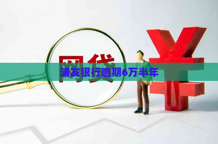 浦发银行逾期6万半年
